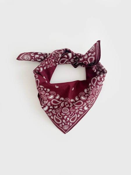 Pleated Paisley Wine Scarf Paisley Print Velvet Scarf - Purple – La Fiorentina main image 3