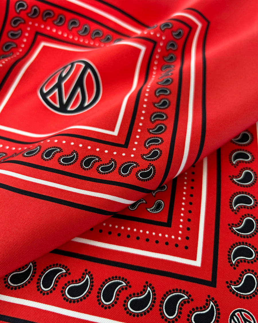 PAISLEY SCARF | RED | PRE-ORDER - lescarf